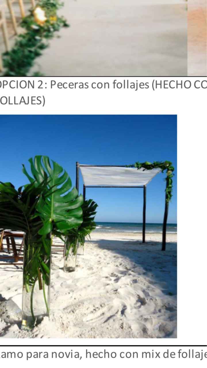 Soy yo o la Wp??? - 4