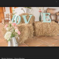 Club de la novia menta - 2