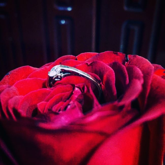 Muestren su anillo 💍💕 - 1