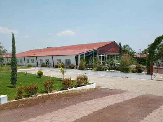  Ya tenemos jardín 😍 - 1