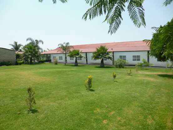  Ya tenemos jardín 😍 - 1