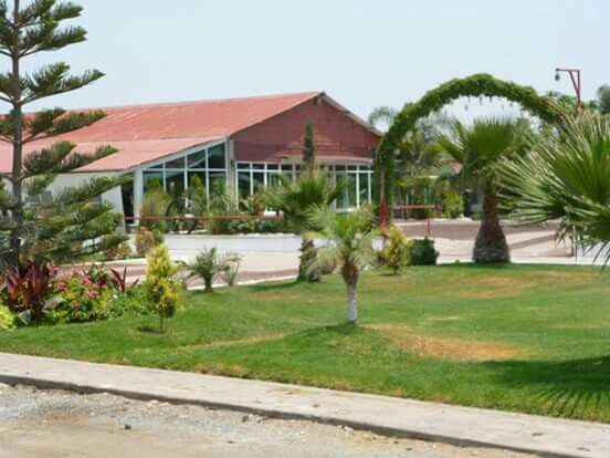  Ya tenemos jardín 😍 - 3