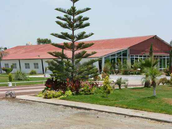  Ya tenemos jardín 😍 - 4