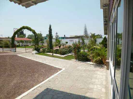  Ya tenemos jardín 😍 - 5