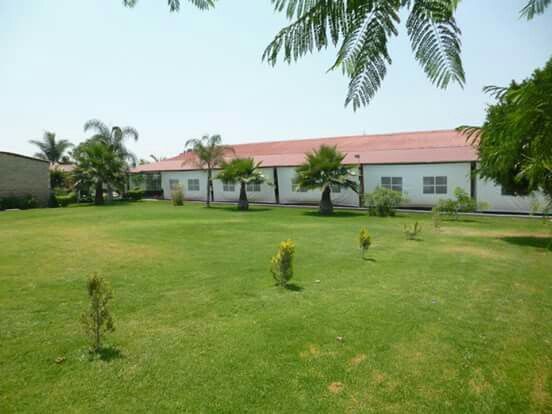  Ya tenemos jardín 😍 - 1