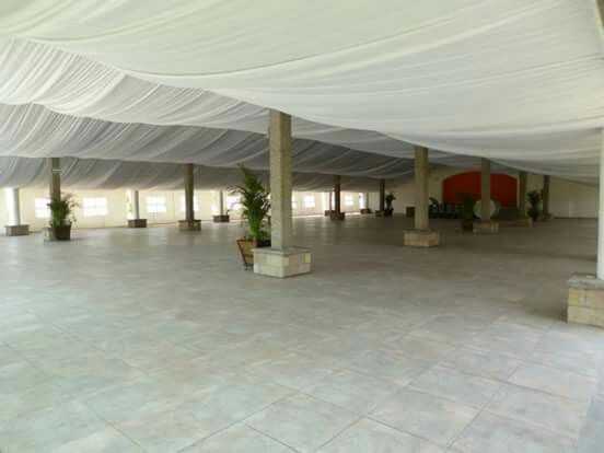  Ya tenemos jardín 😍 - 2