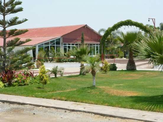  Ya tenemos jardín 😍 - 3