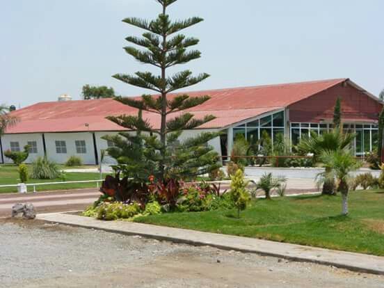  Ya tenemos jardín 😍 - 4