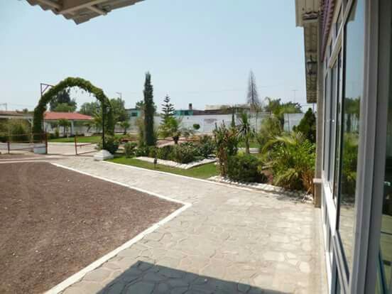  Ya tenemos jardín 😍 - 5