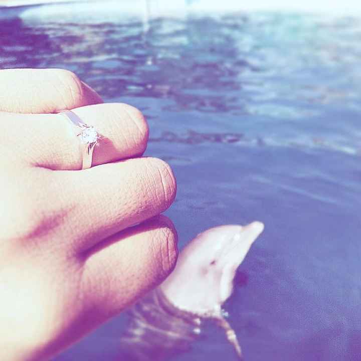 Mi anillo 