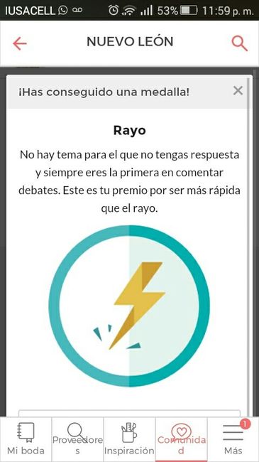 Medalla rayo???!!! - 1