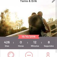 426 dias