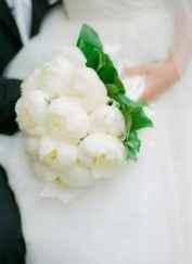 ramo peonias