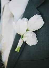 boutonniere tulipan