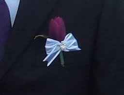 boutonniere tulipan