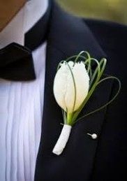 boutonniere tulipan