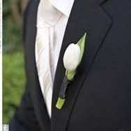 boutonniere tulipan