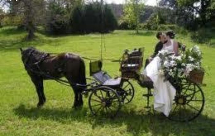 Como hacer que mi boda se vea Mexicana - 1