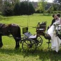 Como hacer que mi boda se vea Mexicana - 1