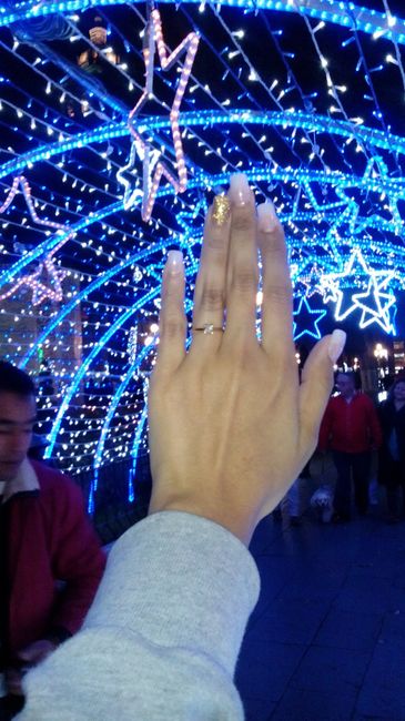 The proposal 