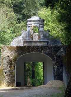 Desierto de los leones