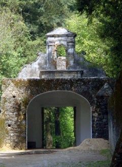 Desierto de los leones