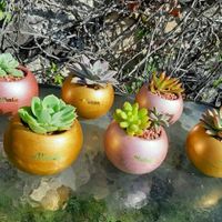 Mis recuerdos de ensueño #ana - 2