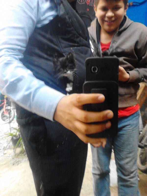 La foto de tu mascota! - 3