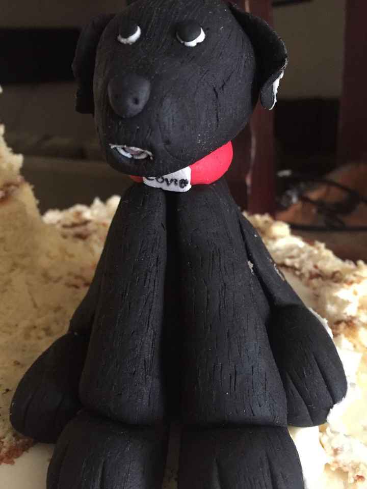 si mi perrohijo no pudo estar presencialmente en el pastel si, creo que fue lo que mas me gusto de m