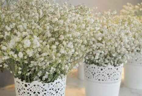 Flor nube ¿que les parece? - 6