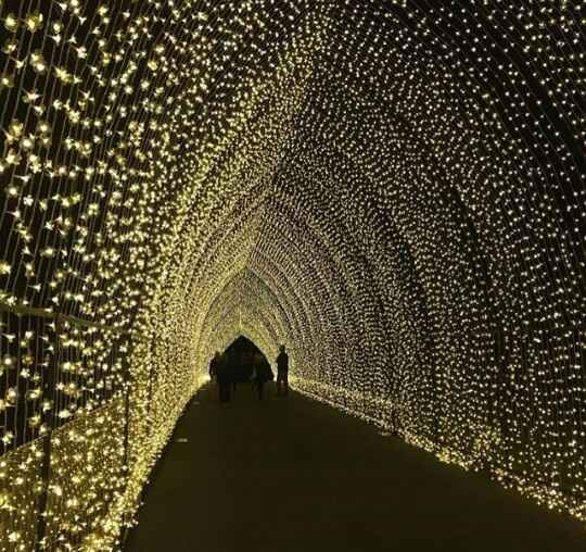 10 entradas espectaculares - 4