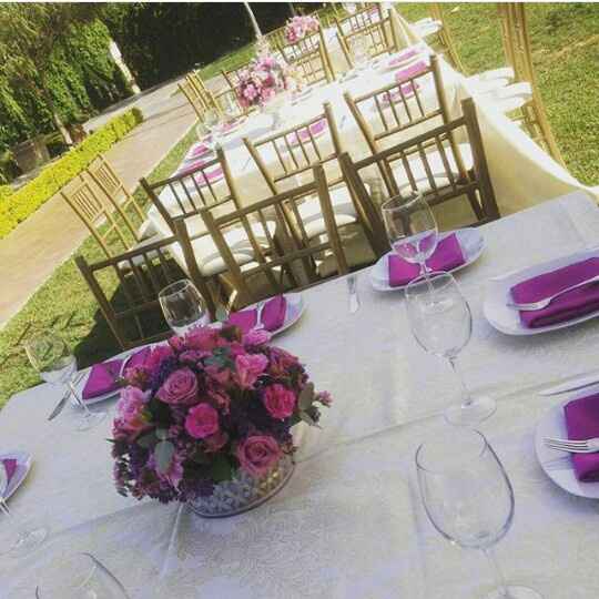 ¿qué color prefieren? - 2