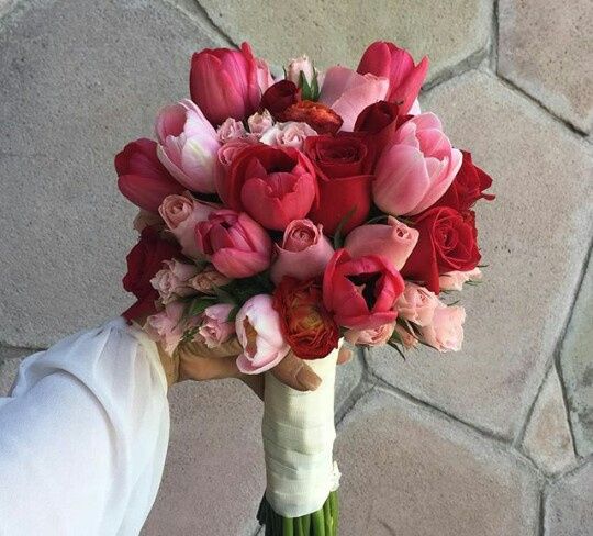 76 dias y estos son los avances - 2