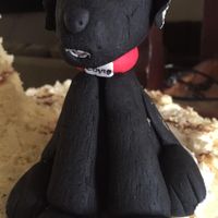 si mi perrohijo no pudo estar presencialmente en el pastel si, creo que fue lo que mas me gusto de m