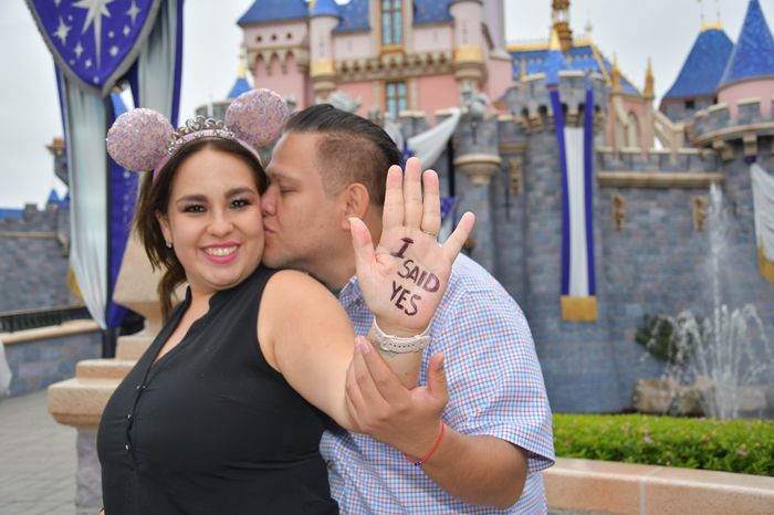 Pedida de mano en Disney