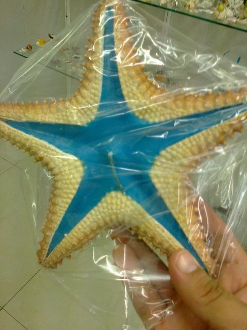 Recuerdos personales 