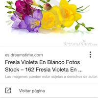 Ramo de novia con claveles ¿sí o no? - 1