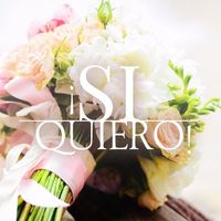 SI,  ACEPTO