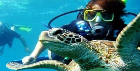 Akumal Qroo