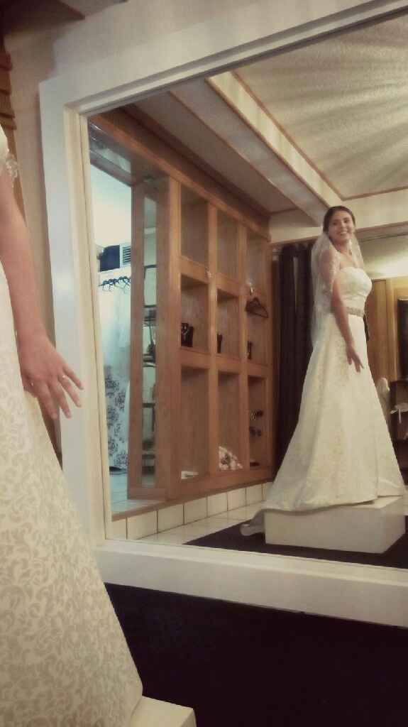 Cuenten el chisme -el presupuesto del vestido - - 4