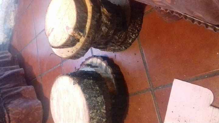 Avances rústicos a 4 días .. y la tragedia - 3