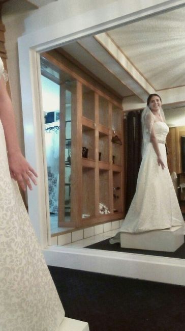 Presupuesto para el vestido! - 1