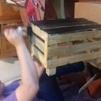 Avances rústicos a 4 días .. y la tragedia - 5