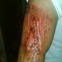 Avances rústicos a 4 días .. y la tragedia - 6