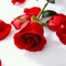 Prinses