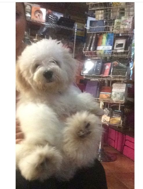 ¿Cómo se llamaba su primera mascota? 1