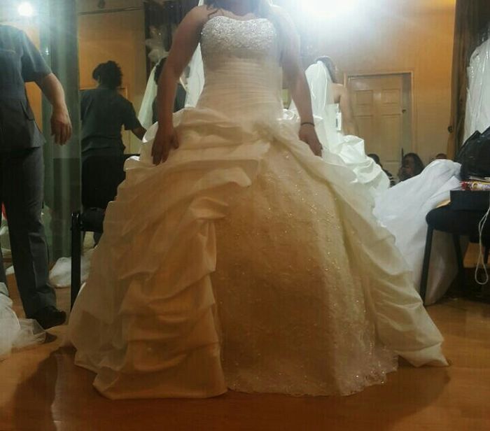 Mi vestido - 1