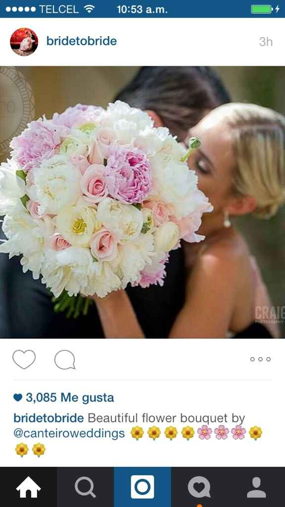 Presume tu ramo! - 4