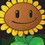 Naty