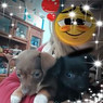 Any